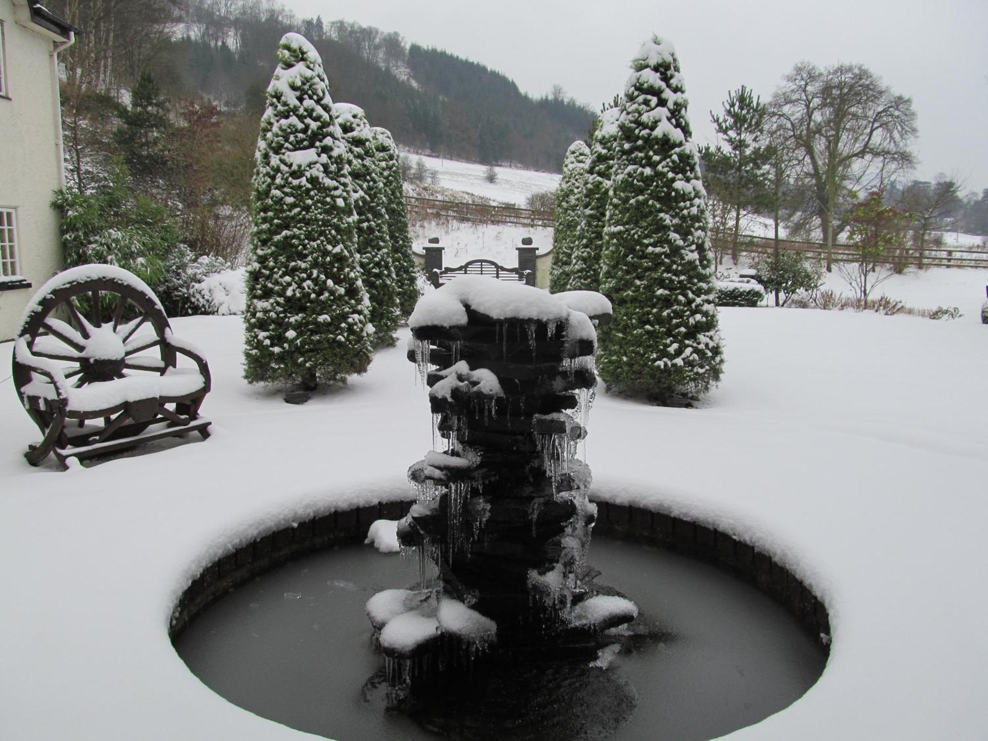 Wild Pheasant Hotel & Spa Llangollen Exterior foto